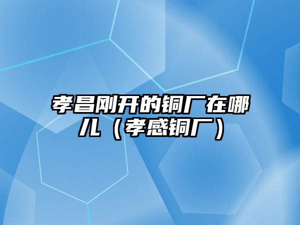 孝昌剛開的銅廠在哪兒（孝感銅廠）