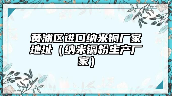 黃浦區(qū)進(jìn)口納米銅廠家地址（納米銅粉生產(chǎn)廠家）