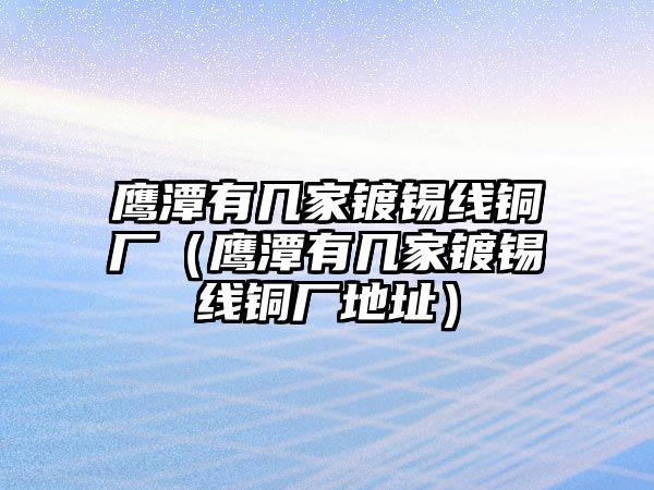 鷹潭有幾家鍍錫線銅廠（鷹潭有幾家鍍錫線銅廠地址）