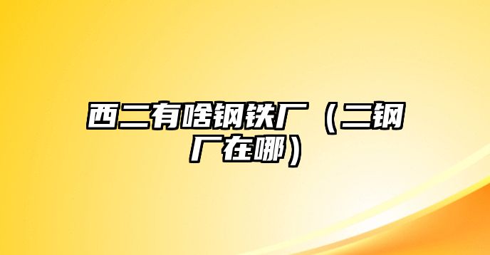 西二有啥鋼鐵廠（二鋼廠在哪）