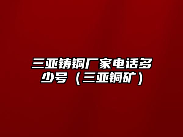 三亞鑄銅廠家電話多少號(hào)（三亞銅礦）