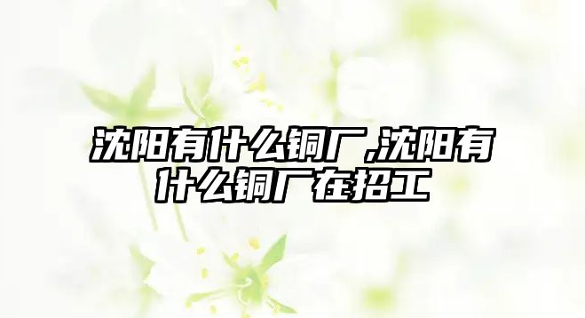 沈陽有什么銅廠,沈陽有什么銅廠在招工