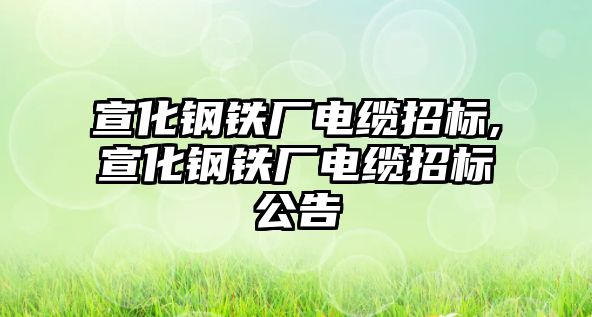 宣化鋼鐵廠電纜招標(biāo),宣化鋼鐵廠電纜招標(biāo)公告