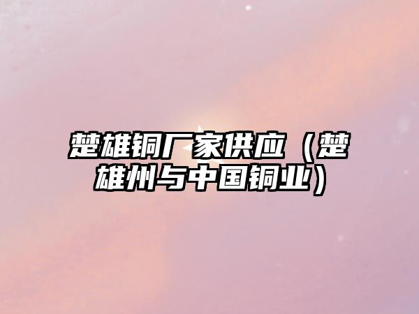 楚雄銅廠家供應(yīng)（楚雄州與中國銅業(yè)）