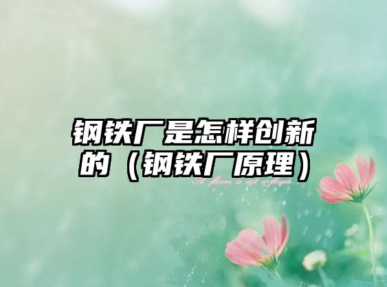 鋼鐵廠是怎樣創(chuàng)新的（鋼鐵廠原理）