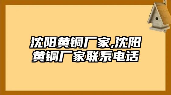 沈陽(yáng)黃銅廠家,沈陽(yáng)黃銅廠家聯(lián)系電話