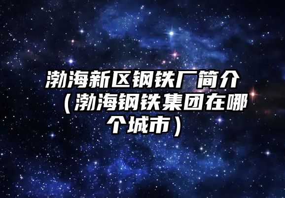 渤海新區(qū)鋼鐵廠簡介（渤海鋼鐵集團在哪個城市）