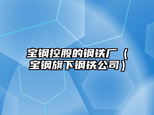 寶鋼控股的鋼鐵廠（寶鋼旗下鋼鐵公司）