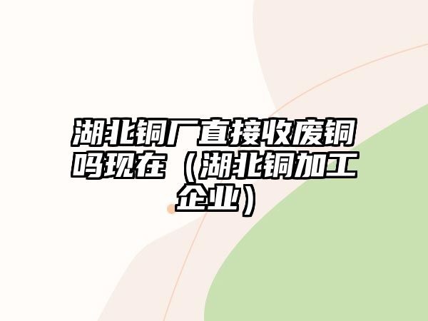 湖北銅廠直接收廢銅嗎現(xiàn)在（湖北銅加工企業(yè)）