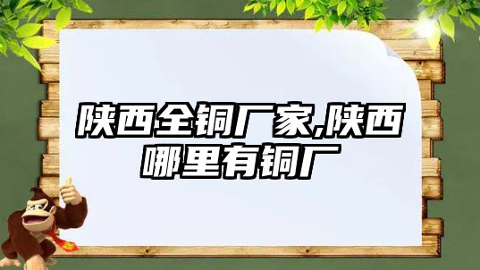 陜西全銅廠(chǎng)家,陜西哪里有銅廠(chǎng)