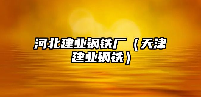 河北建業(yè)鋼鐵廠（天津建業(yè)鋼鐵）