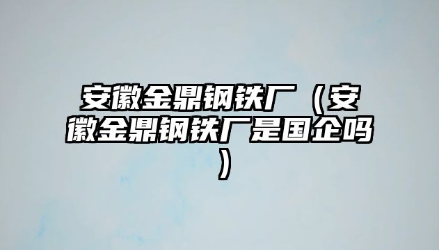 安徽金鼎鋼鐵廠（安徽金鼎鋼鐵廠是國(guó)企嗎）