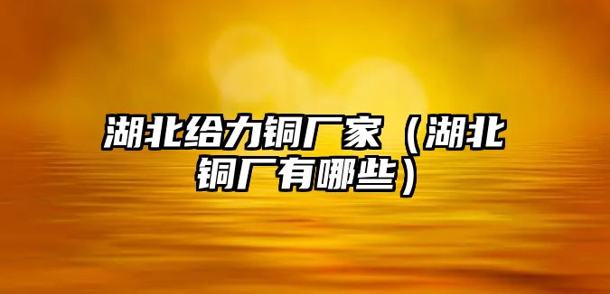 湖北給力銅廠家（湖北銅廠有哪些）