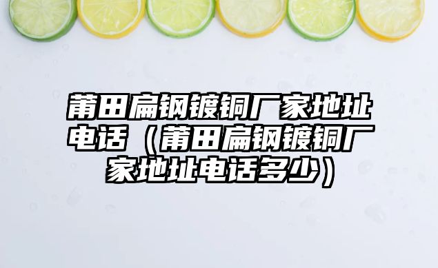 莆田扁鋼鍍銅廠家地址電話（莆田扁鋼鍍銅廠家地址電話多少）