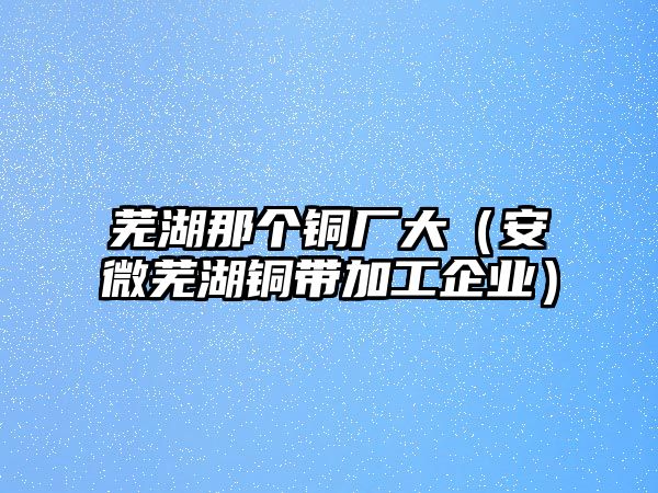 蕪湖那個(gè)銅廠大（安微蕪湖銅帶加工企業(yè)）