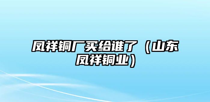 鳳祥銅廠買給誰了（山東鳳祥銅業(yè)）