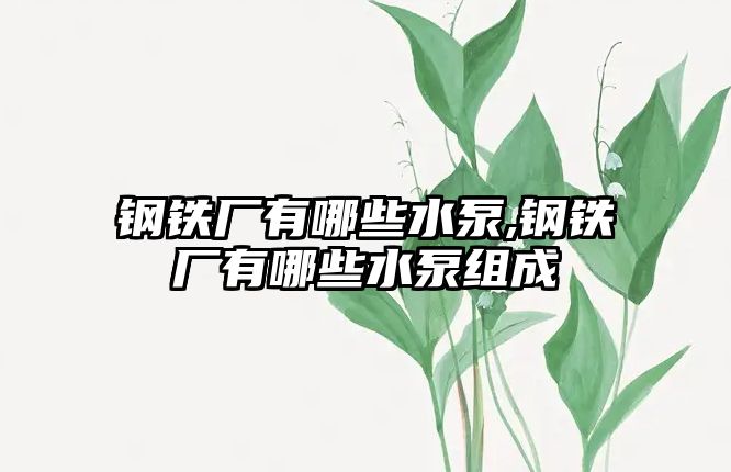 鋼鐵廠有哪些水泵,鋼鐵廠有哪些水泵組成