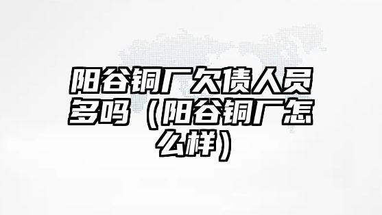 陽谷銅廠欠債人員多嗎（陽谷銅廠怎么樣）