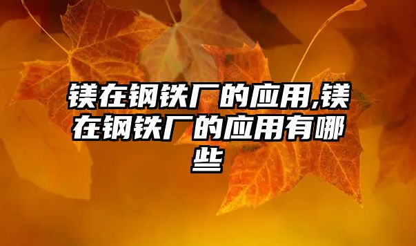 鎂在鋼鐵廠的應(yīng)用,鎂在鋼鐵廠的應(yīng)用有哪些