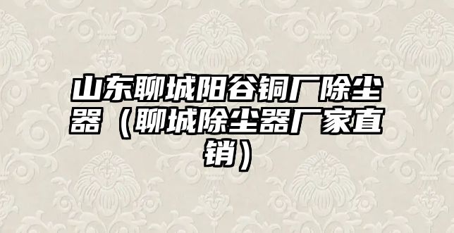 山東聊城陽谷銅廠除塵器（聊城除塵器廠家直銷）
