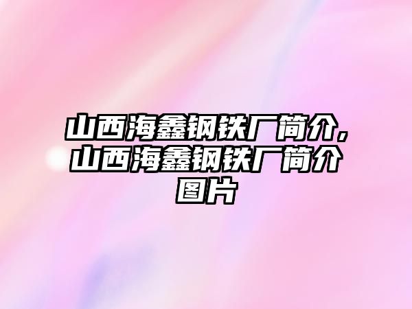 山西海鑫鋼鐵廠簡介,山西海鑫鋼鐵廠簡介圖片