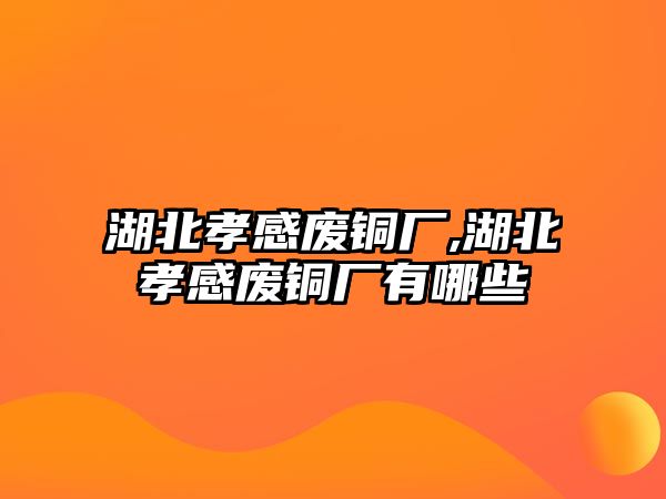 湖北孝感廢銅廠,湖北孝感廢銅廠有哪些