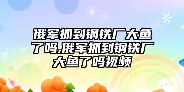 俄軍抓到鋼鐵廠大魚了嗎,俄軍抓到鋼鐵廠大魚了嗎視頻