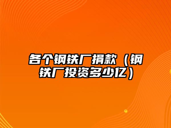 各個(gè)鋼鐵廠捐款（鋼鐵廠投資多少億）