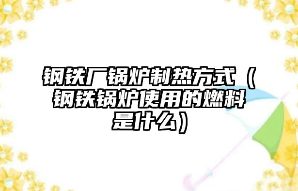 鋼鐵廠鍋爐制熱方式（鋼鐵鍋爐使用的燃料是什么）