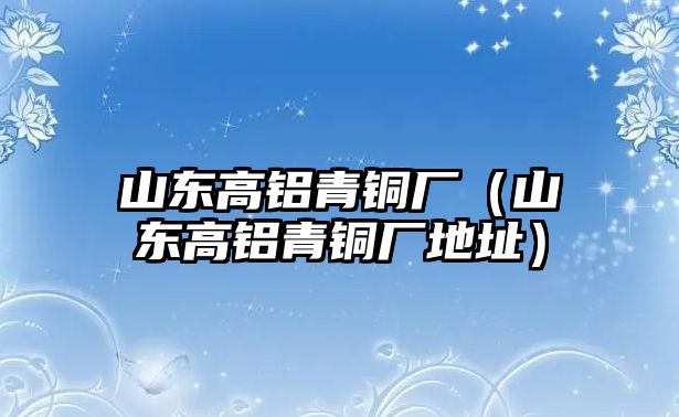 山東高鋁青銅廠（山東高鋁青銅廠地址）