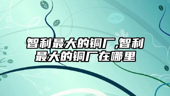 智利最大的銅廠,智利最大的銅廠在哪里