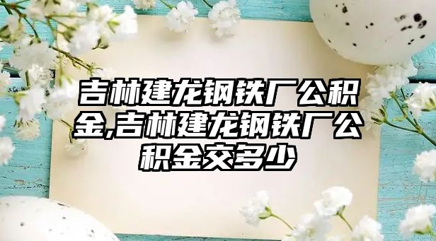 吉林建龍鋼鐵廠公積金,吉林建龍鋼鐵廠公積金交多少