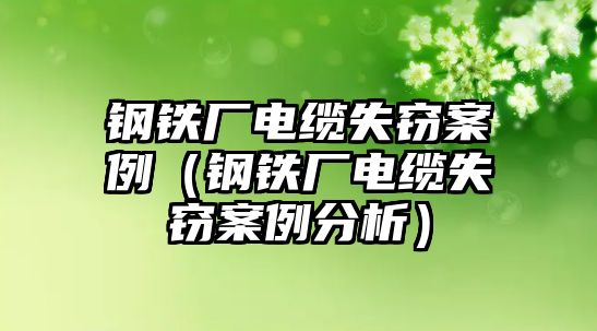 鋼鐵廠電纜失竊案例（鋼鐵廠電纜失竊案例分析）