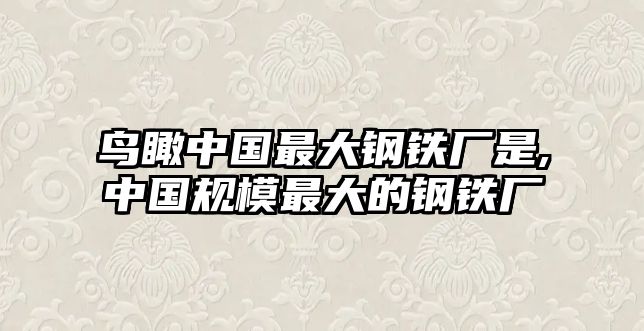 鳥瞰中國最大鋼鐵廠是,中國規(guī)模最大的鋼鐵廠