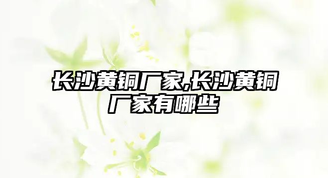 長沙黃銅廠家,長沙黃銅廠家有哪些