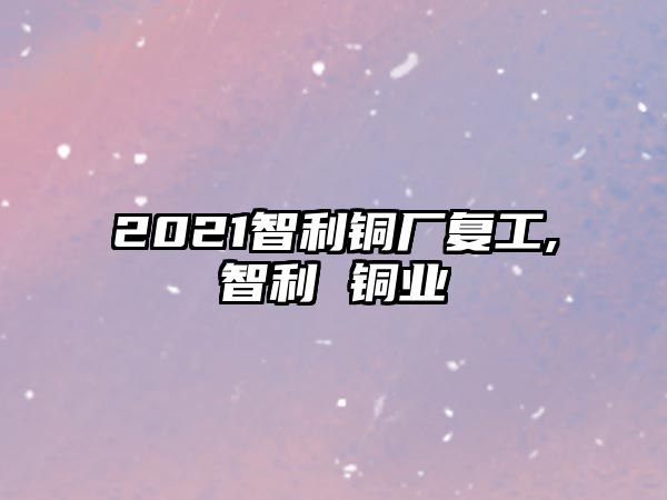 2021智利銅廠復(fù)工,智利 銅業(yè)