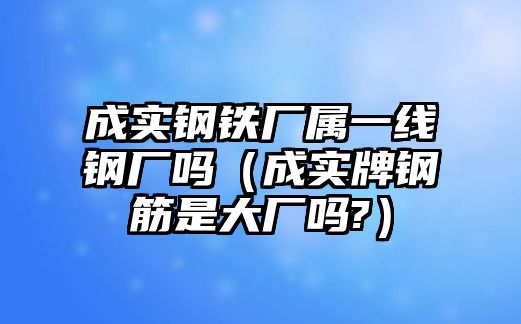 成實(shí)鋼鐵廠屬一線鋼廠嗎（成實(shí)牌鋼筋是大廠嗎?）