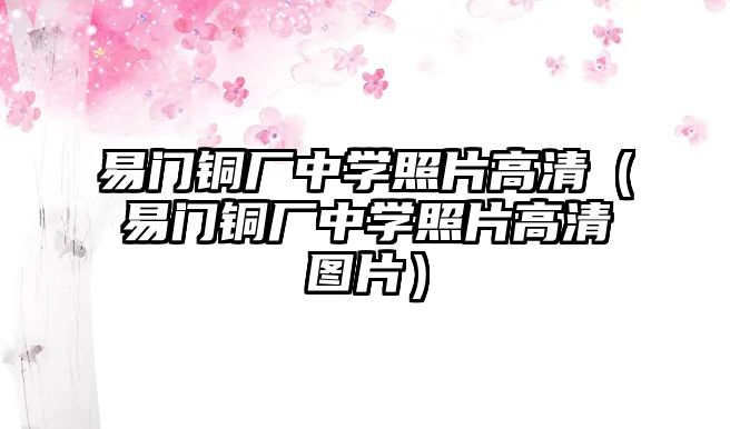 易門銅廠中學(xué)照片高清（易門銅廠中學(xué)照片高清圖片）