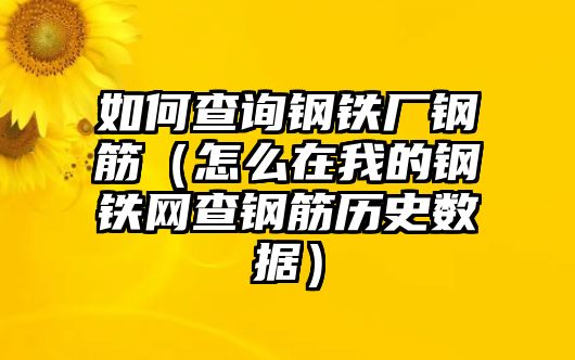 如何查詢鋼鐵廠鋼筋（怎么在我的鋼鐵網(wǎng)查鋼筋歷史數(shù)據(jù)）