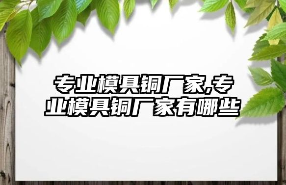 專業(yè)模具銅廠家,專業(yè)模具銅廠家有哪些