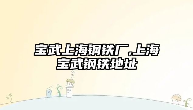 寶武上海鋼鐵廠,上海寶武鋼鐵地址