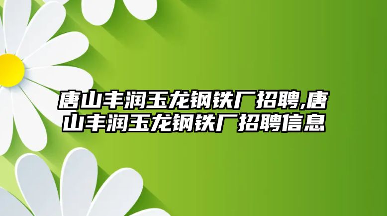 唐山豐潤玉龍鋼鐵廠招聘,唐山豐潤玉龍鋼鐵廠招聘信息