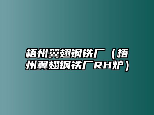 梧州翼翅鋼鐵廠（梧州翼翅鋼鐵廠RH爐）