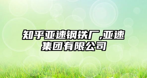 知乎亞速鋼鐵廠,亞速集團有限公司