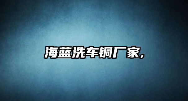 海藍(lán)洗車銅廠家,