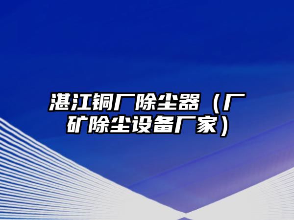 湛江銅廠除塵器（廠礦除塵設(shè)備廠家）