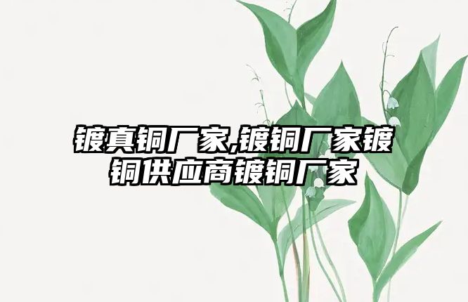 鍍真銅廠家,鍍銅廠家鍍銅供應商鍍銅廠家