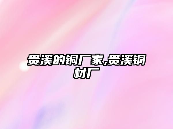 貴溪的銅廠家,貴溪銅材廠