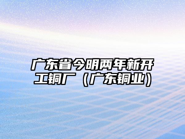 廣東省今明兩年新開工銅廠（廣東銅業(yè)）