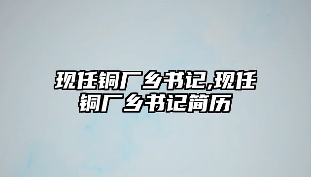 現(xiàn)任銅廠鄉(xiāng)書(shū)記,現(xiàn)任銅廠鄉(xiāng)書(shū)記簡(jiǎn)歷